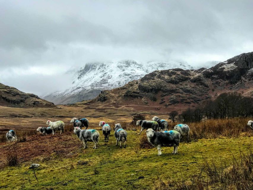 From Liverpool: Lake District Sightseeing Adventure Day Trip - Important Information