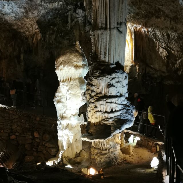 From Ljubljana: Postojna Cave & Predjama Castle Guided Trip - Audio Guide Accessibility