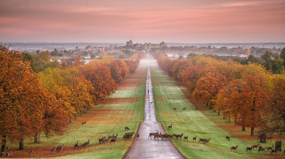 From London: Stonehenge, Windsor and Salisbury Guided Tour - Important Information