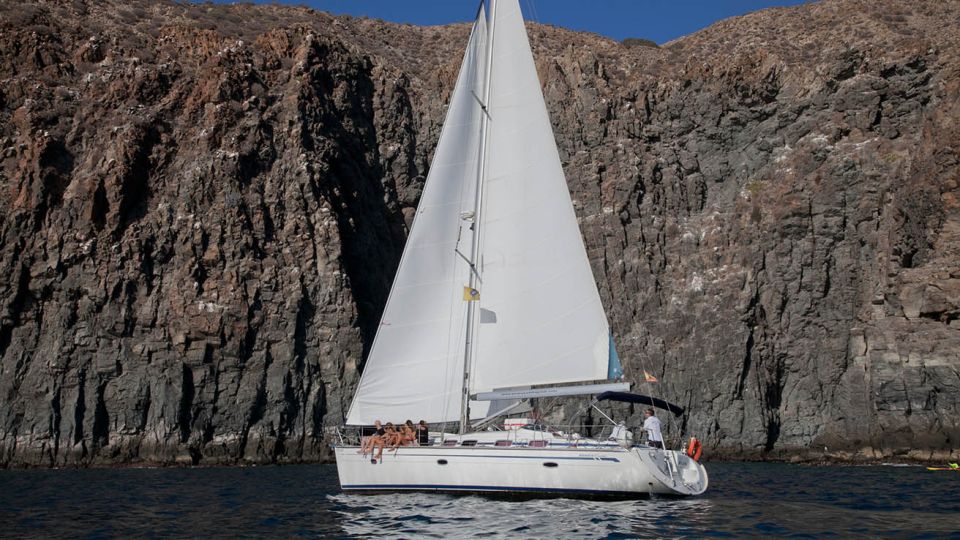 From Los Gigantes: Whale Watching Sailboat Cruise - Review Summary