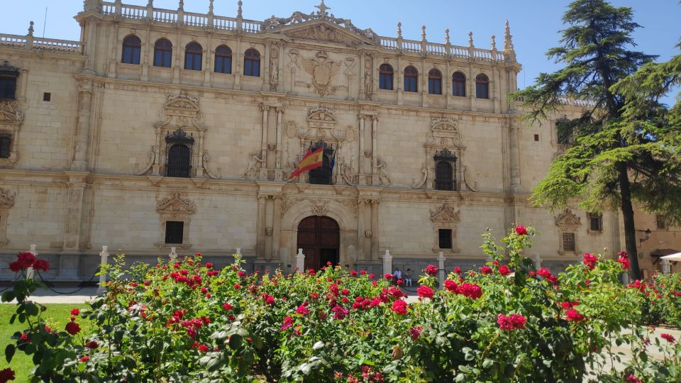 From Madrid: Alcalá De Henares & Cervantes Museum Day Trip - Rave Reviews From Travelers