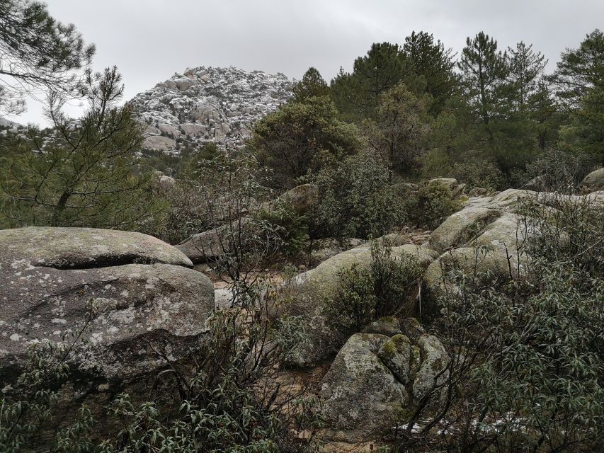 From Madrid: Day Trip to Guadarrama National Park - Wildlife Encounters