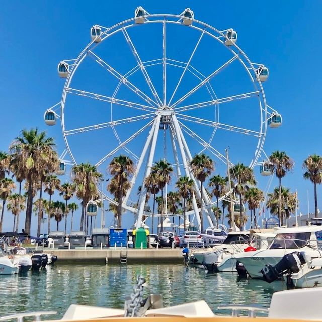 From Málaga: Boat Rental With No License Required - Reviews