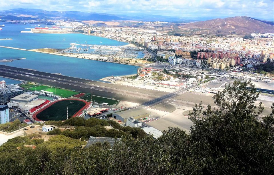 From Málaga or Marbella: Private Gibraltar Tour - Customer Reviews