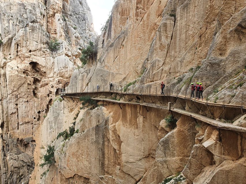 From Malaga: Private Day Trip to the Caminito Del Rey - Detailed Tour Description and Itinerary