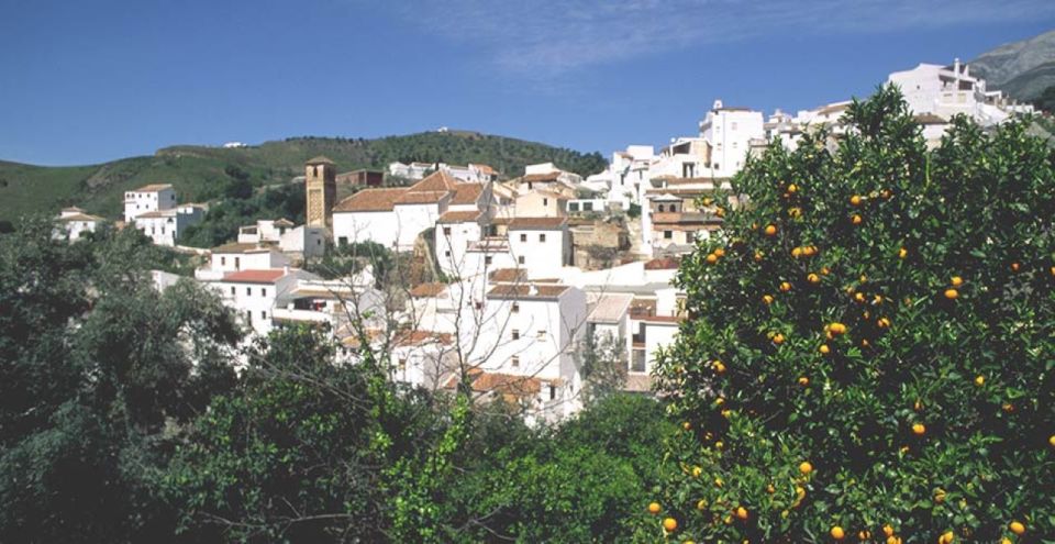 From Marbella: Axarquia Wine Tour With Wine Pairing Lunch - Culinary Delights