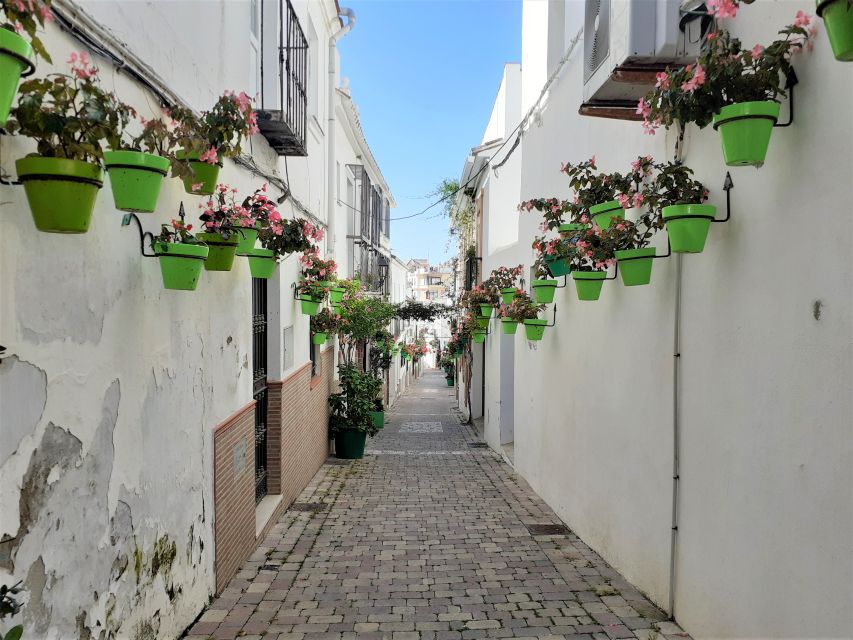 From Marbella: Guided Private Trip to Gibraltar and Estepona - Esteponas Artistic Delights