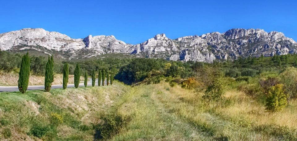 From Marseille: Full-Day Les Baux De Provence Wine Tour - Tour Logistics