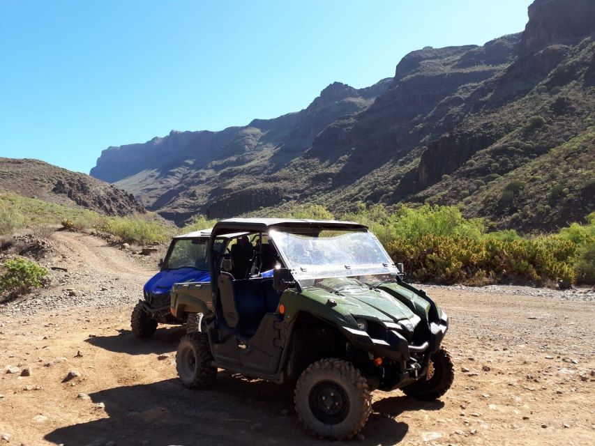 From Maspalomas: Volcanic Landscapes 4-Seater Buggy Tour - Additional Information