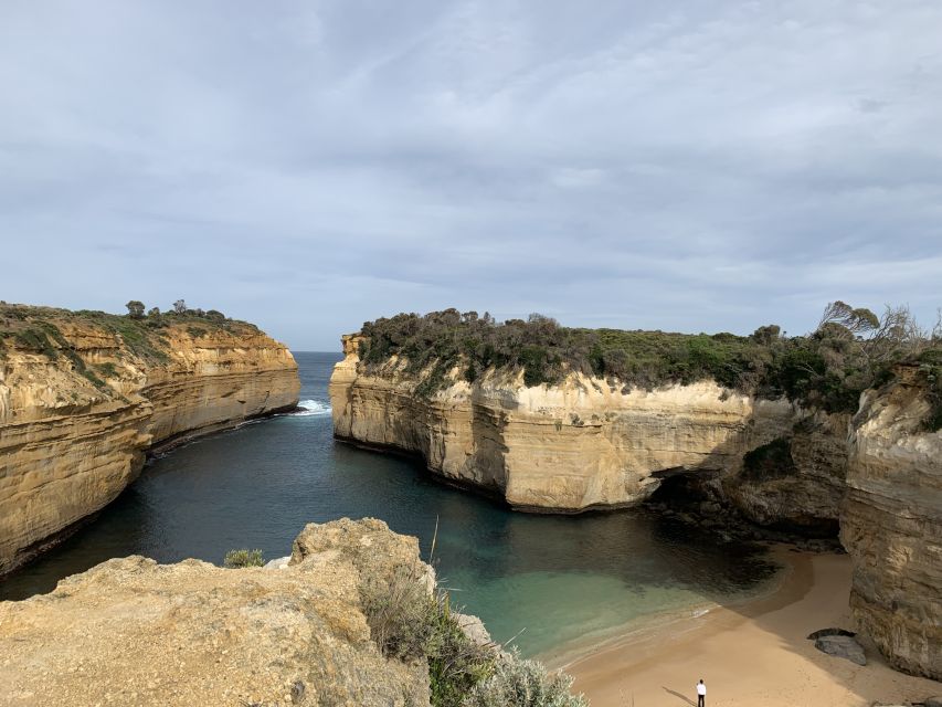From Melbourne: Great Ocean Road Day Tour - Booking Information