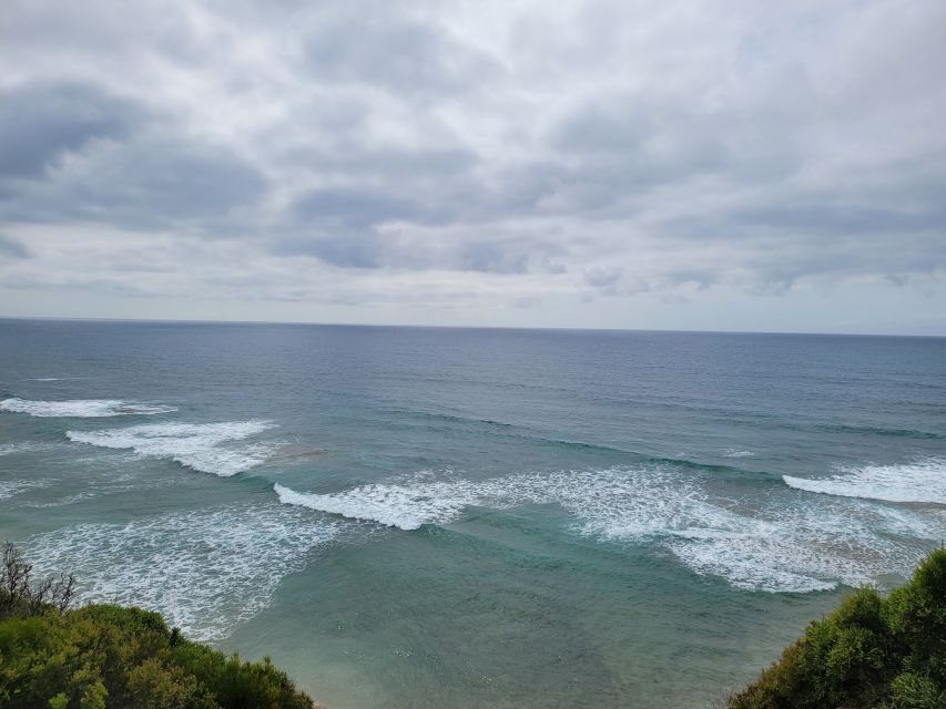 From Melbourne: Great Ocean Road Day Tour - Tour Highlights