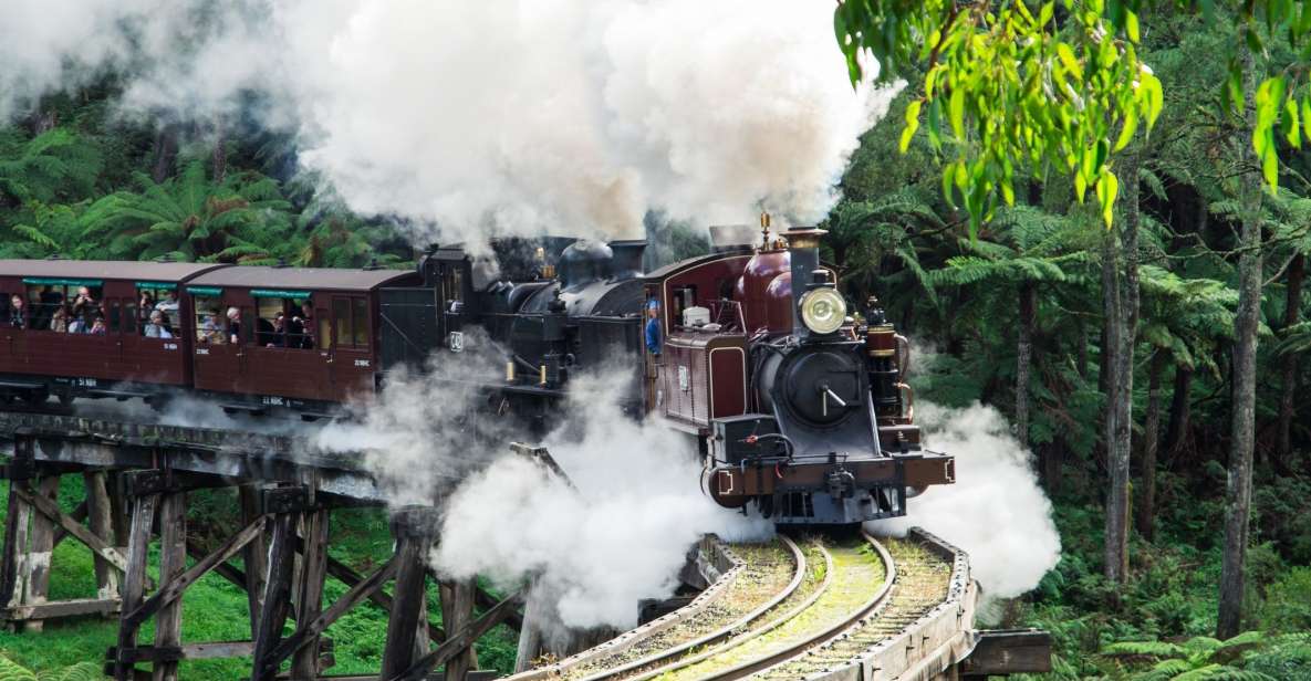 From Melbourne: Puffing Billy and Penguin Parade Combo Tour - Last Words