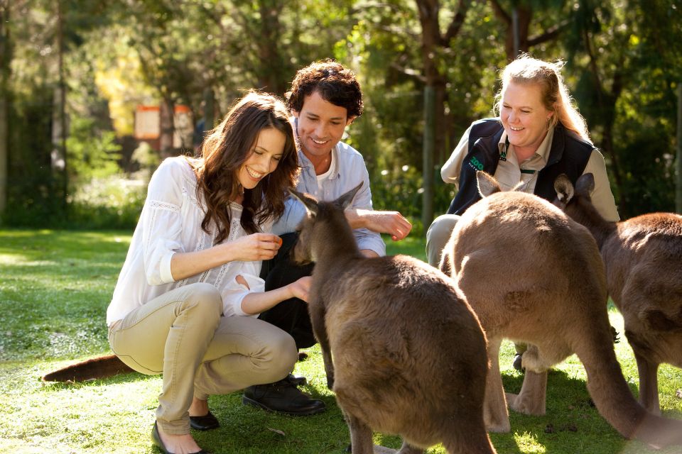 From Melbourne: Puffing Billy Steam Train & Wildlife Tour - Additional Information