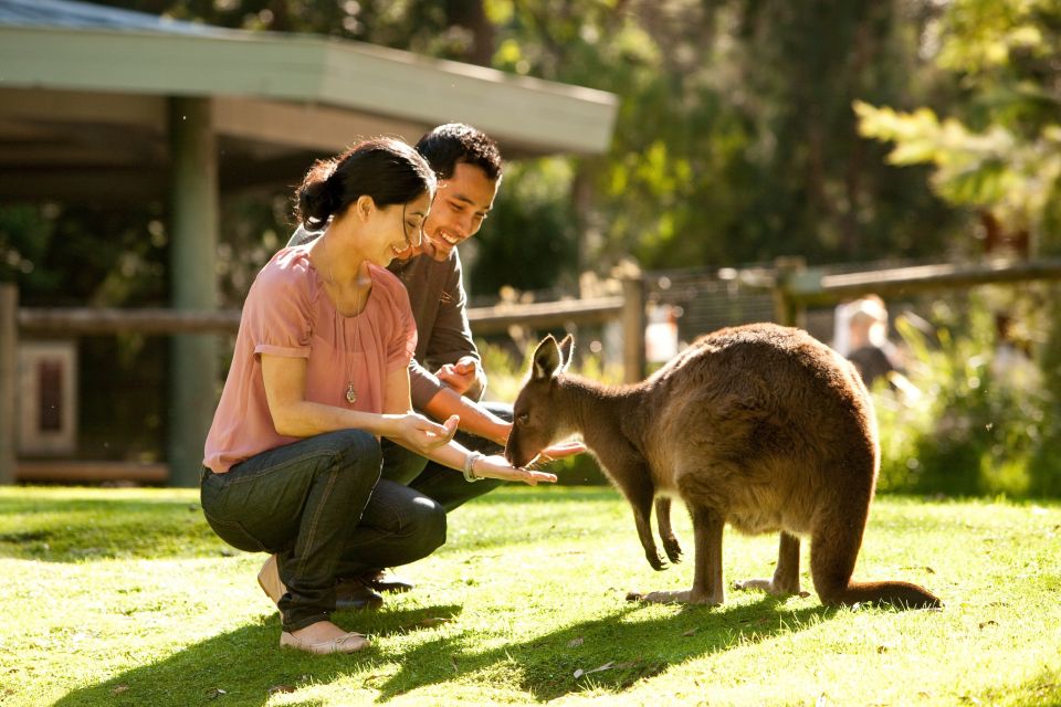 From Melbourne: Yarra Valley Wildlife & Wine Day Tour - Price & Duration