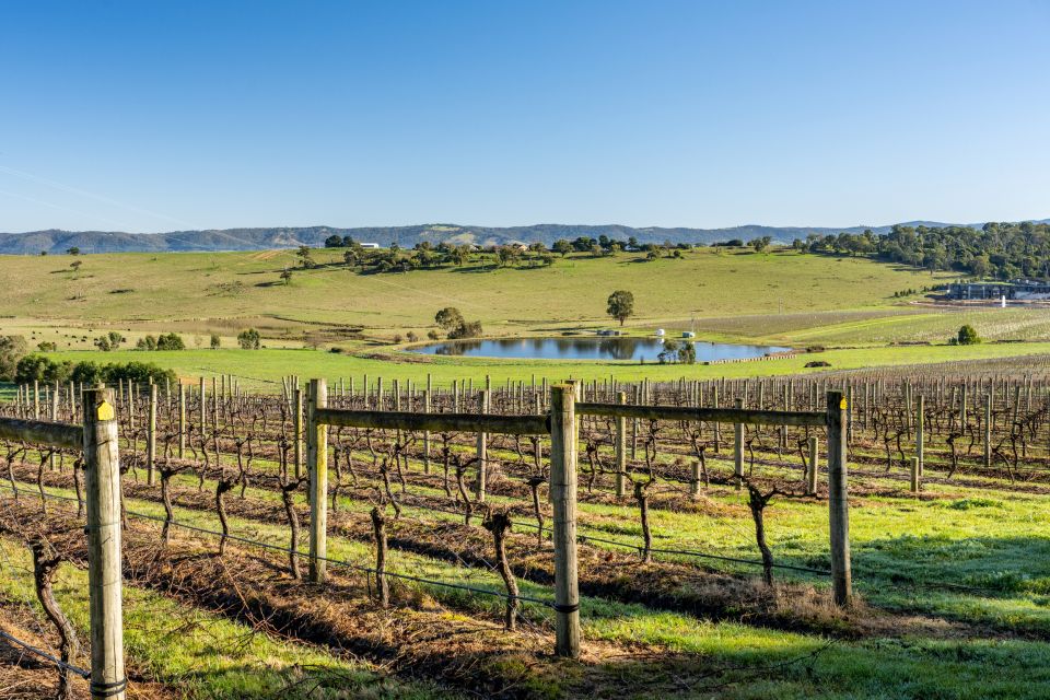 From Melbourne: Yarra Valley Wine, Gin, Chocolate Day Trip - Logistics