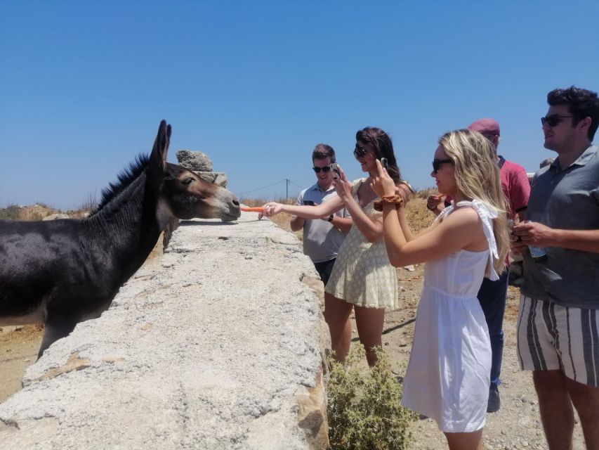 From Mikonos: Tastes and Traditions of Mykonos Guided Tour - Transportation Logistics