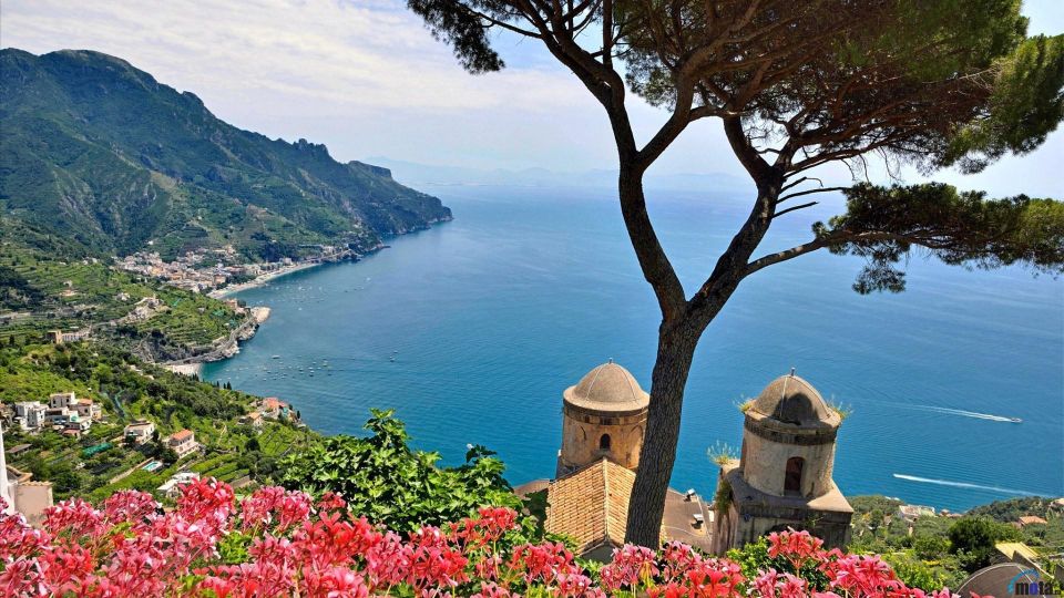 From Naples: Full-Day Amalfi Coast and Sorrento Tour - Customer Reviews