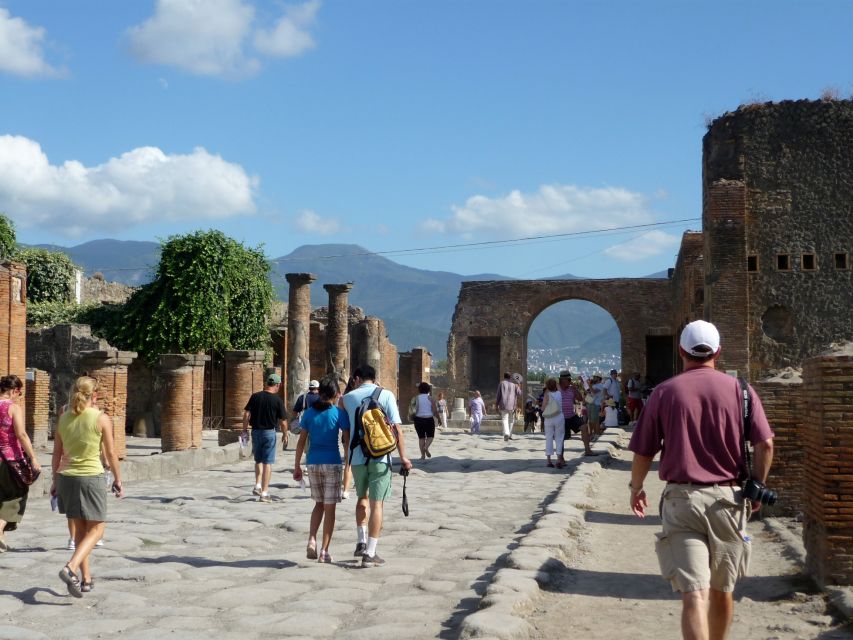 From Naples: Pompeii and Amalfi Coast Full-Day Private Tour - Testimonials