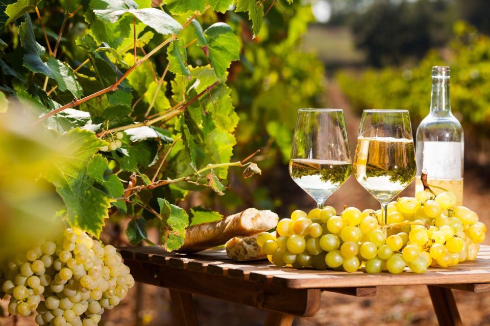 From Nice: Antibes & St Paul De Vence Tour With Wine Tasting - Wine Tasting Experience