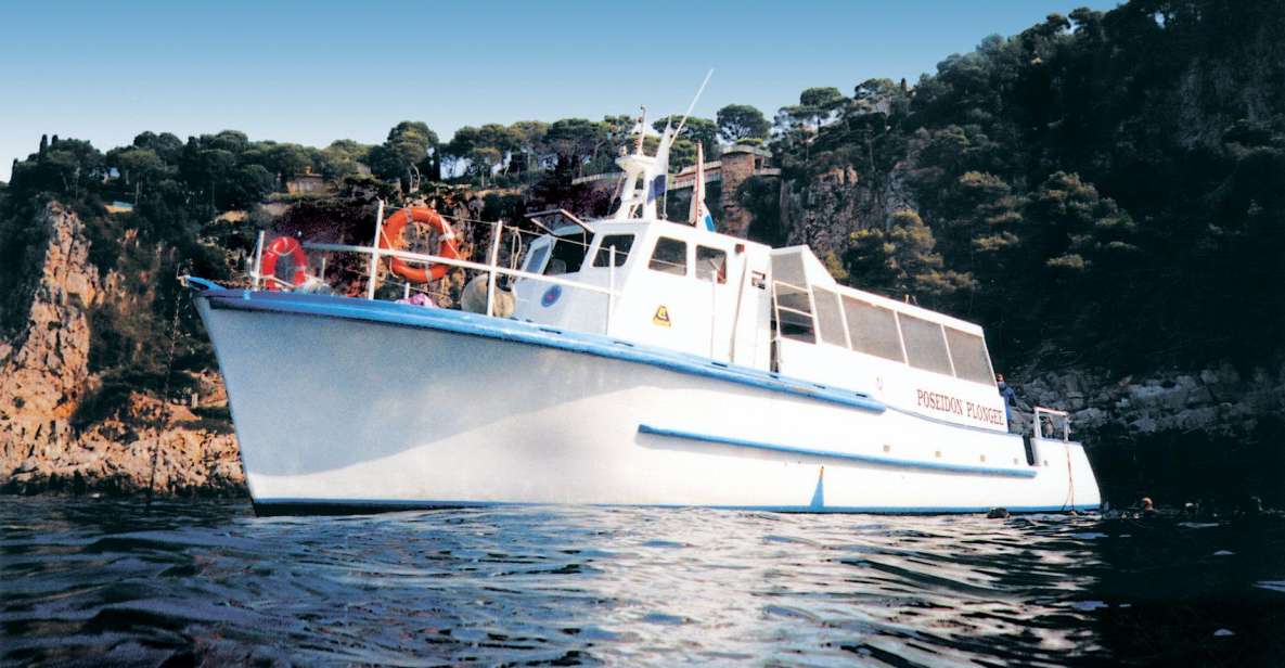 From Nice: Boat Trip, Swim & Snorkeling in Villefranche Bay - Participant Requirements