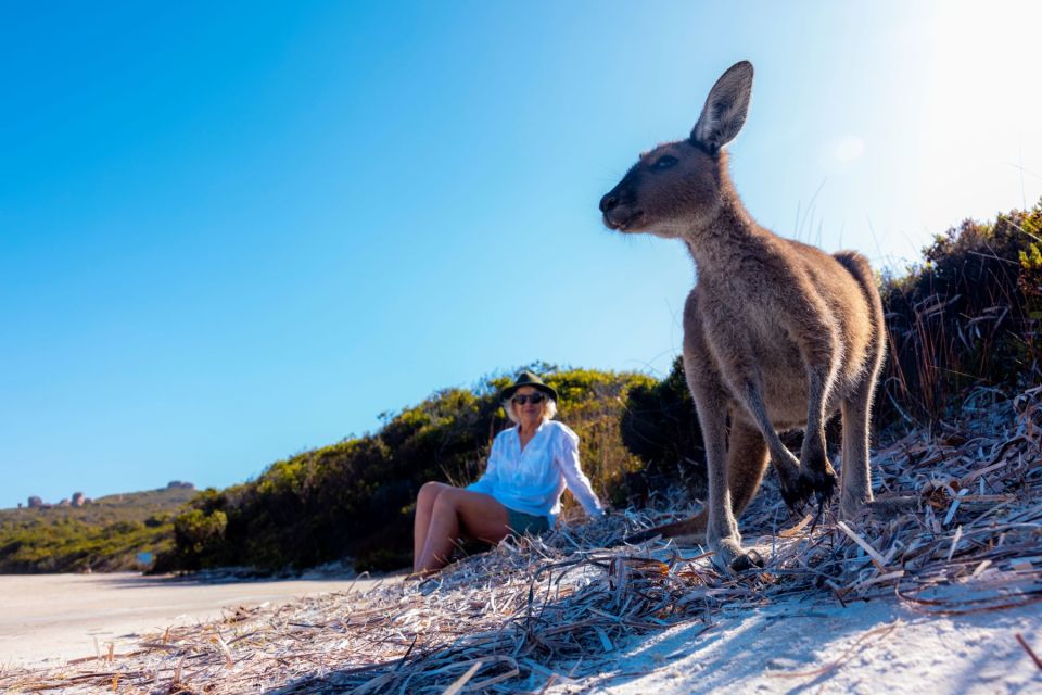 From Perth: Margaret River to Esperance 6-Day Tour - Itinerary