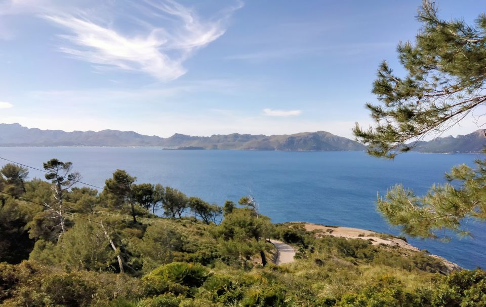 From Port D'alcudia: 2-Hour Sightseeing Quad Tour - Review Summary