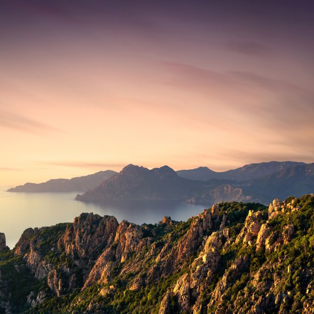 From Porto: Piana Creeks and Scandola Semi-Rigid Boat Tour - Live Experience