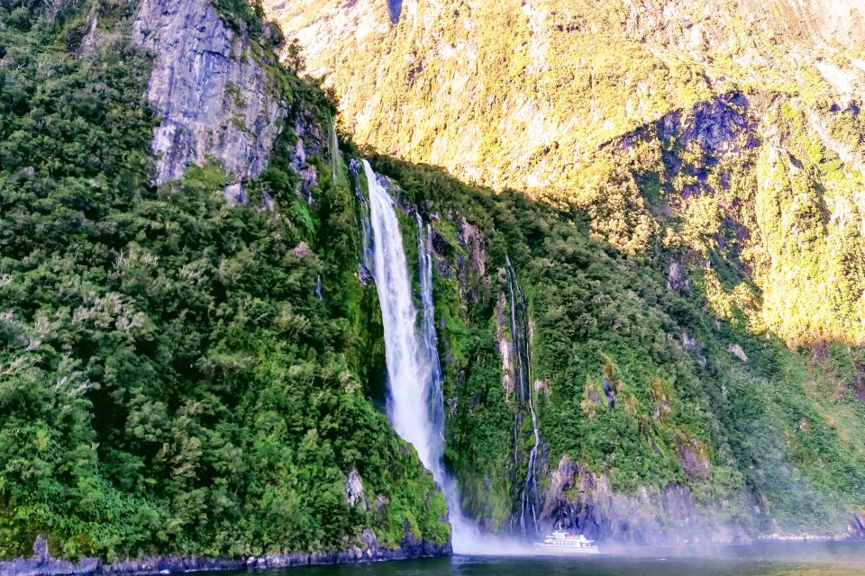 From Queenstown: Milford Sound Premium Day Tour and Cruise - Positive Feedback and Suggestions