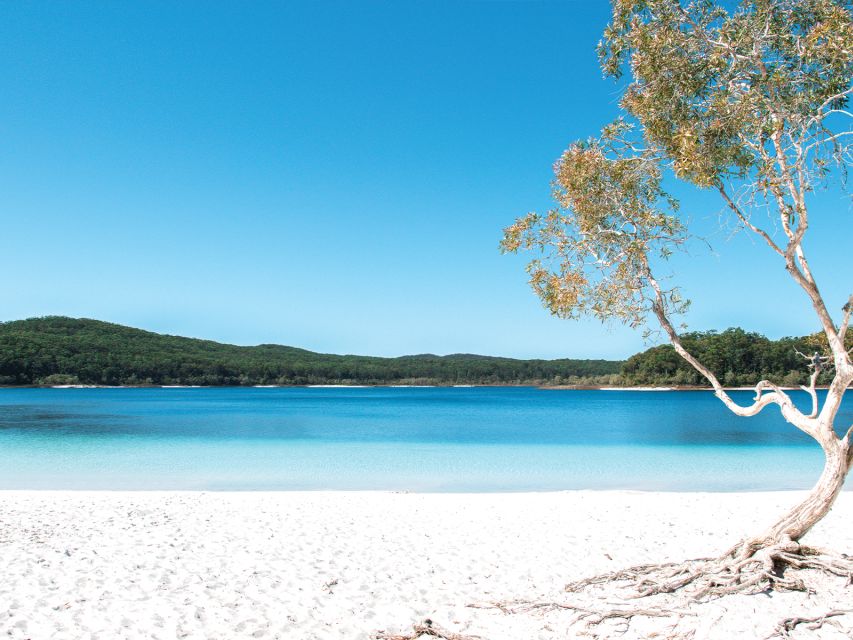 From Rainbow Beach: K'gari, Fraser Island Two-Day Coach Tour - Pre-Tour Information