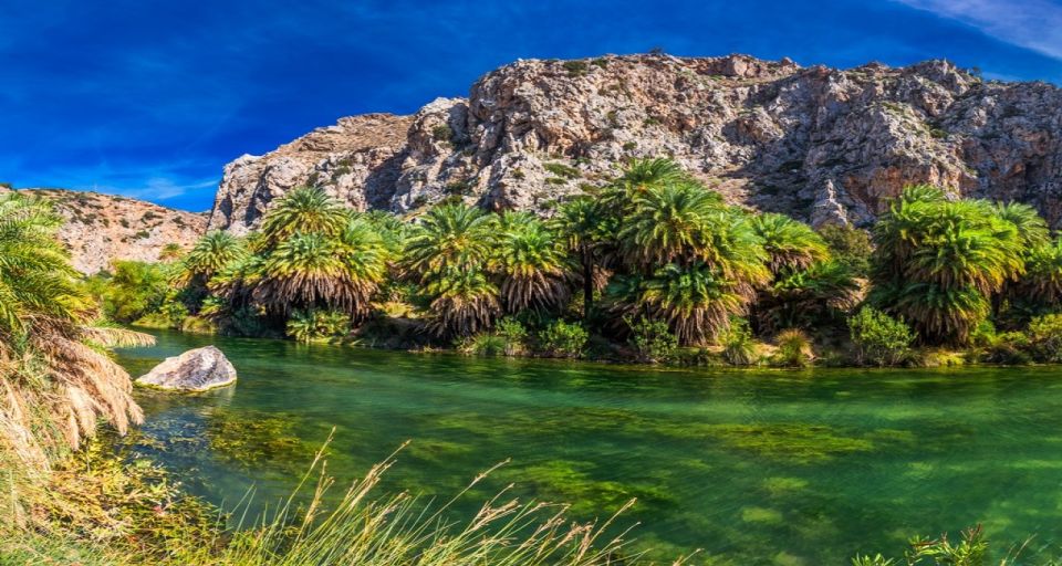 From Rethymno/Chania: Day Trip to Preveli Palm Beach - Inclusions