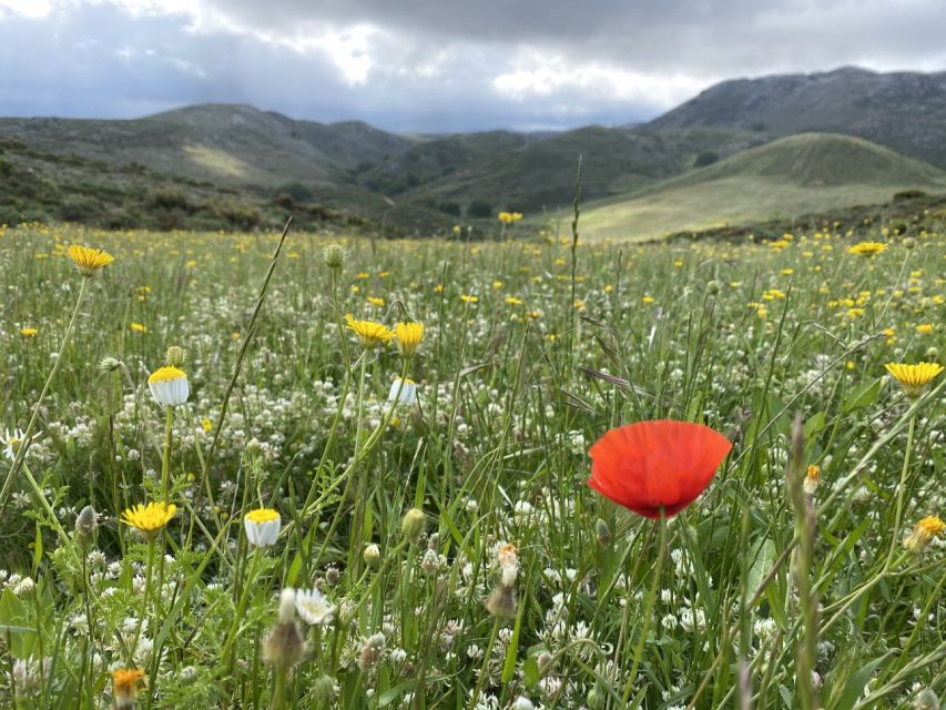 From Rethymno: Eleven Gates Hike on The Shepherds Path - Tour Highlights