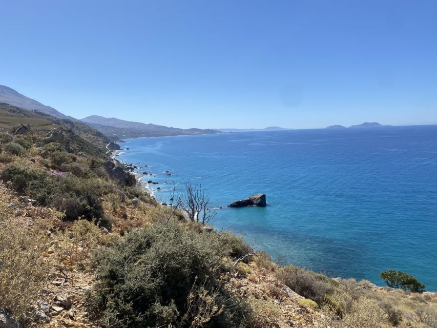 From Rethymno: Preveli Palm Forest Hike and Beach Day Trip - Exploring Preveli River