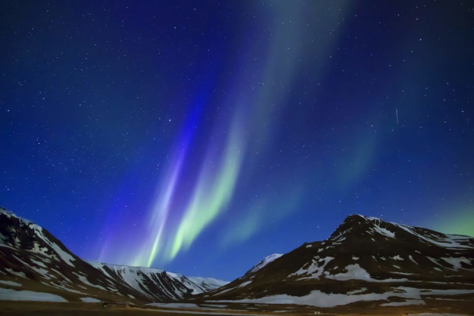 From Reykjavik: Northern Lights & Stars Bus Tour - Customer Reviews