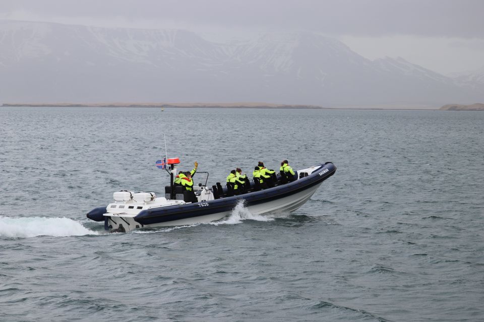 From Reykjavík: Puffin Watching Tour by Speedboat - Important Information