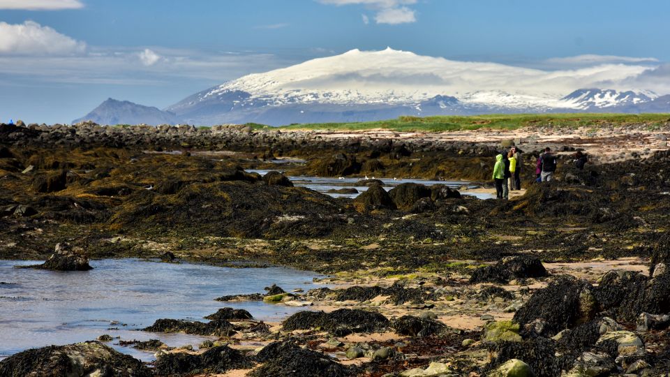 From Reykjavik: Snaefellsnes National Park - Small Group - Customer Reviews