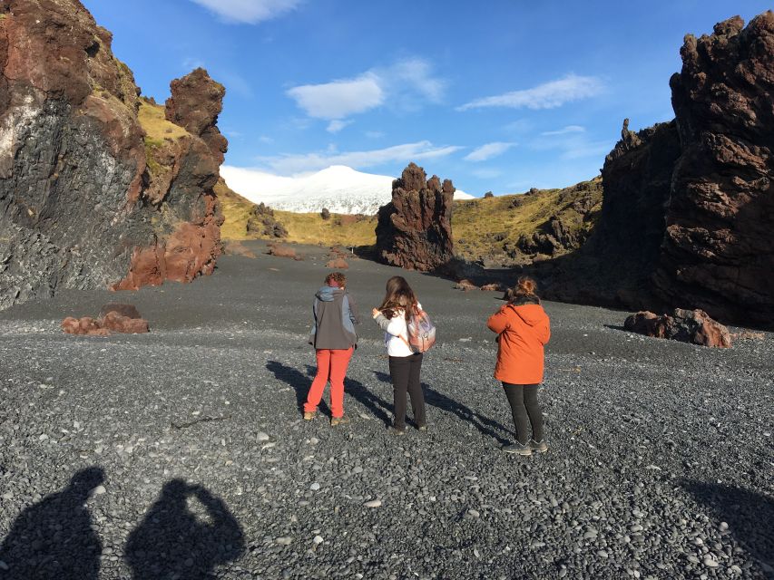 From Reykjavík: Snæfellsnes Peninsula Private Day Tour - Icelandic Scenery and Natural Wonders