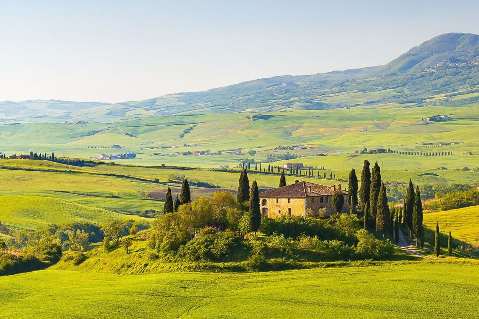 From Rome: Private Day-Tour of Tuscany - Testimonials