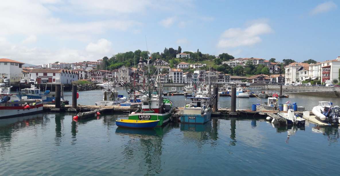 From San Sebastián: Basque-France Coastline Private Tour - Tour Description & Pricing