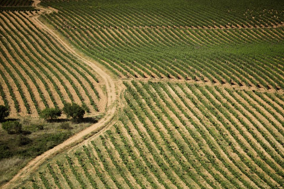 From San Sebastian: Rioja Uncorked - Private Wineries Trip - Wine Tasting Details
