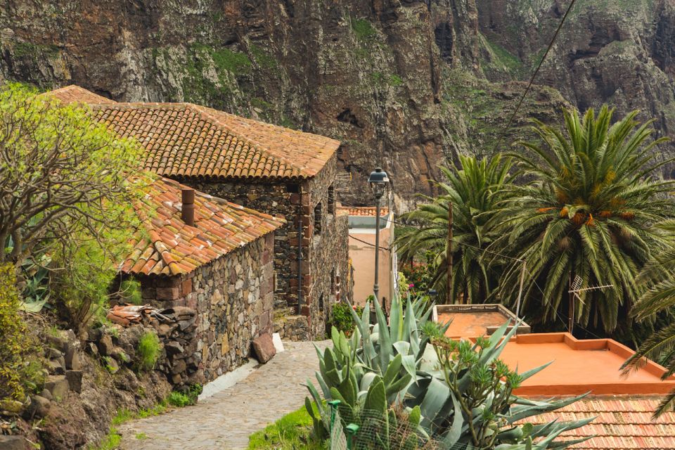 From Santa Cruz De Tenerife: Masca & Garachico Private Trip - Product Details