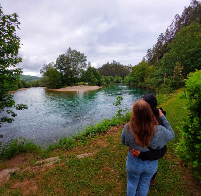 From Santander: Cantabria Private Tour - Tour Description