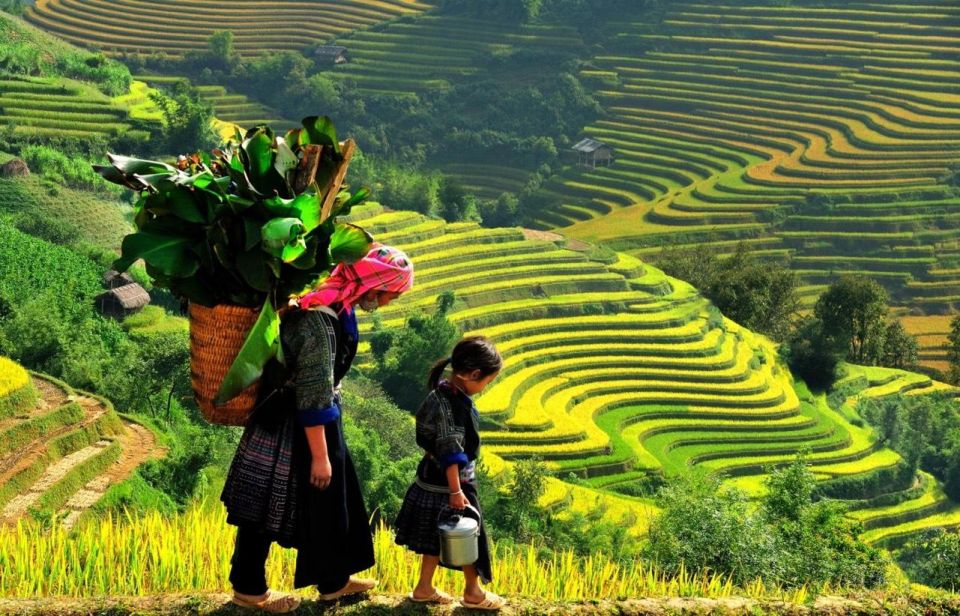 From Sapa : Full-Day Trekking With Lunch and Drop-Off - Experience Inclusions