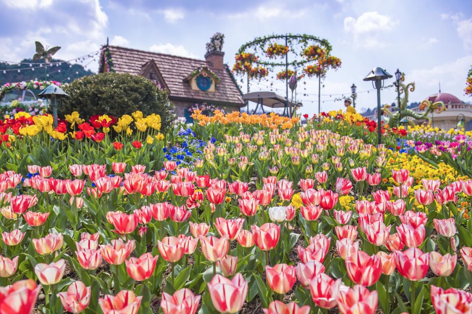 From Seoul: Everland Admission Ticket With Transfer - Reserve Now & Pay Later