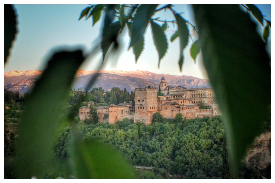 From Seville: Alhambra & Albaicín Private Tour - Product Information