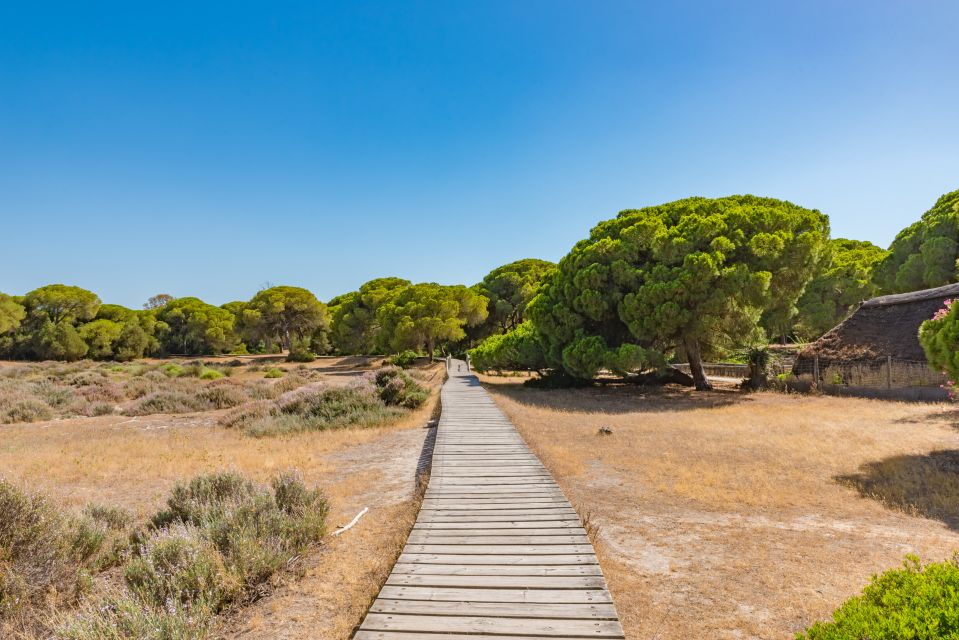 From Seville: Doñana Natural Park, El Rocio and Matalascañas - Customer Reviews