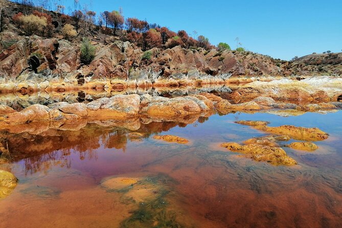 From Seville: Expedition To "Mars" Private Full-day Tour - Expert Guides