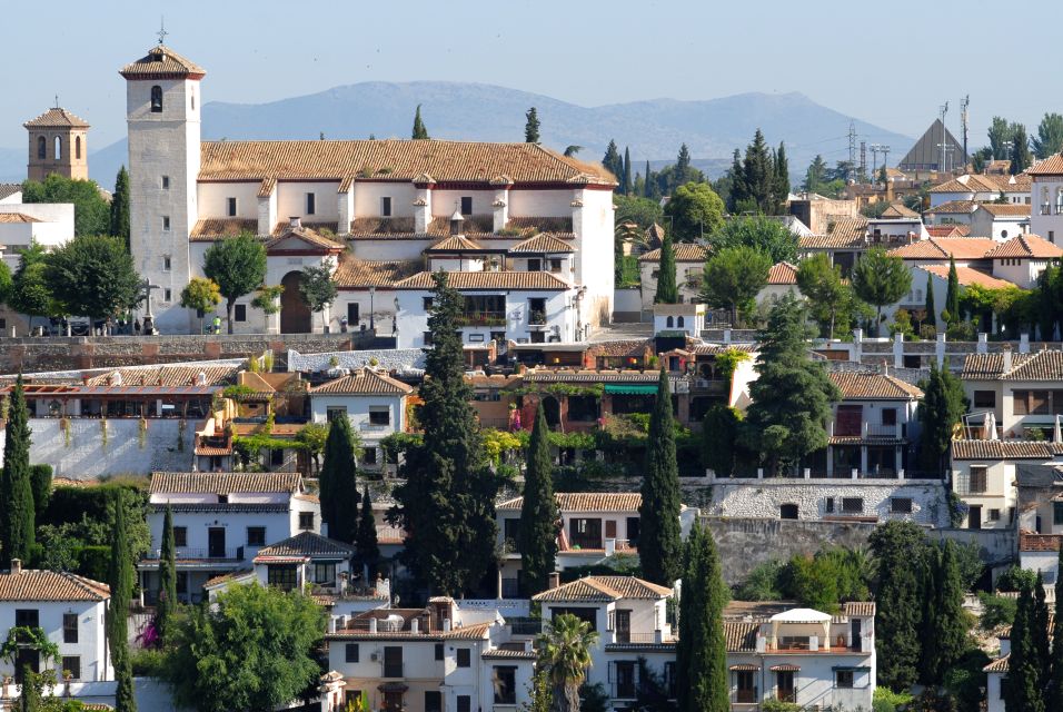 From Seville: Private Granada Day-Trip With Alhambra Visit - Review Ratings