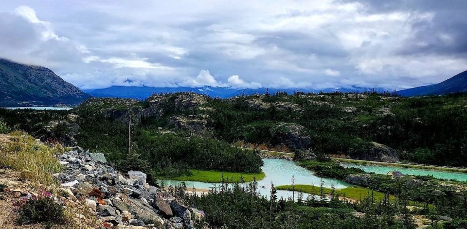 4 from skagway skagway city white pass summit guided tour From Skagway: Skagway City & White Pass Summit Guided Tour