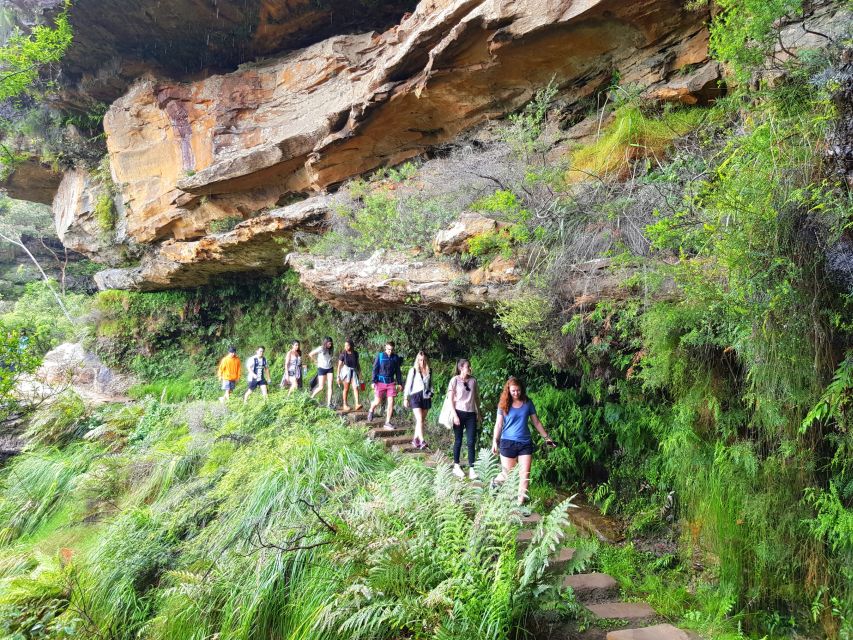 From Sydney: Blue Mountains Tour With Waterfall Walk & Lunch - Tour Inclusions