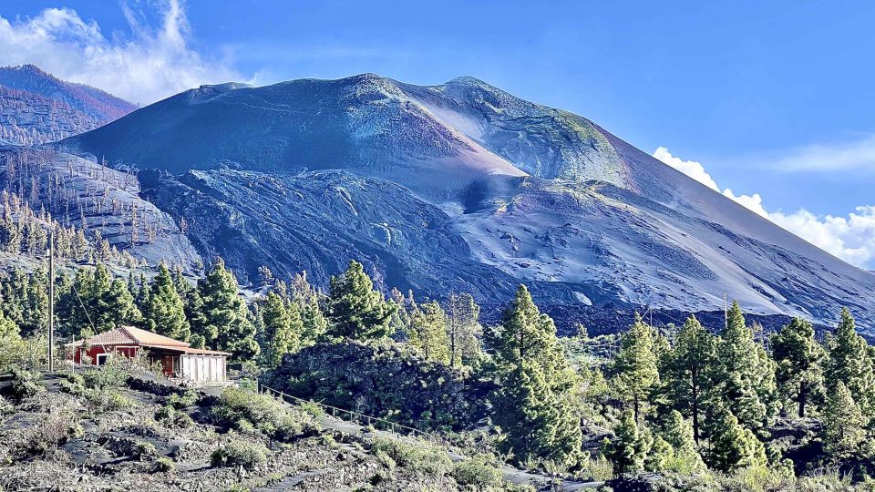 From Tenerife: Day Trip to La Palma Volcanic Landscapes - Full Itinerary